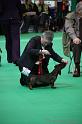 Crufts2011_2 940